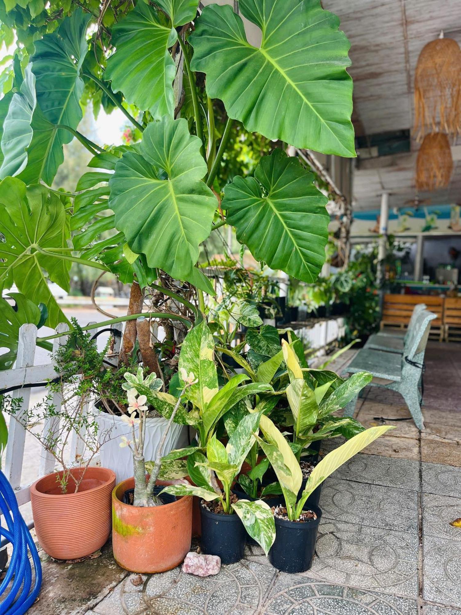 N'T Homestay Mui Ne Esterno foto