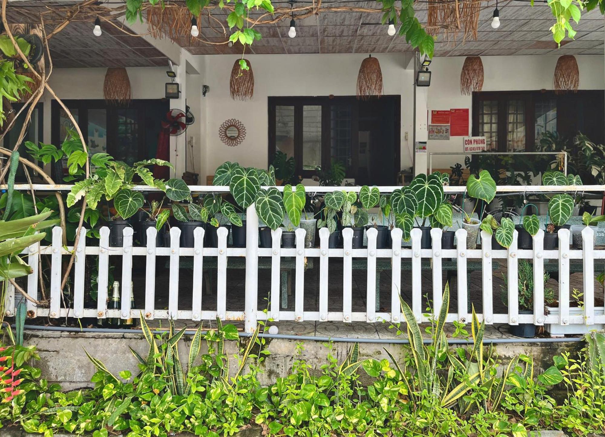 N'T Homestay Mui Ne Esterno foto